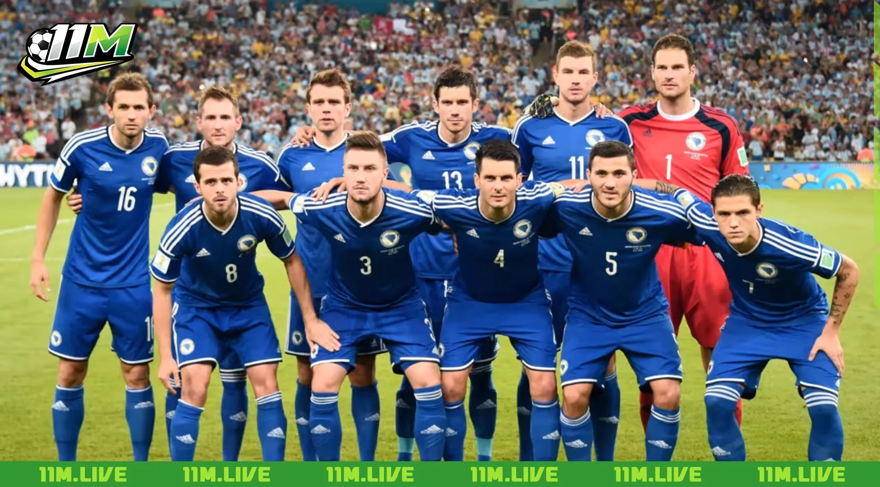 đội tuyển bóng đá quốc gia bosna và hercegovina